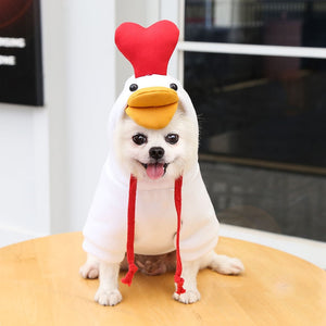 Cute Fruit Dog Clothes for Small Dogs