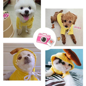 Cute Fruit Dog Clothes for Small Dogs