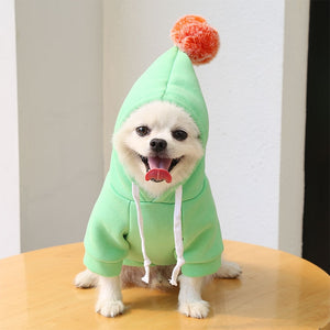 Cute Fruit Dog Clothes for Small Dogs