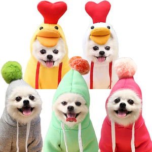 Cute Fruit Dog Clothes for Small Dogs