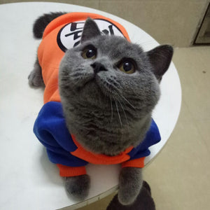 Sweatshirt for Cats