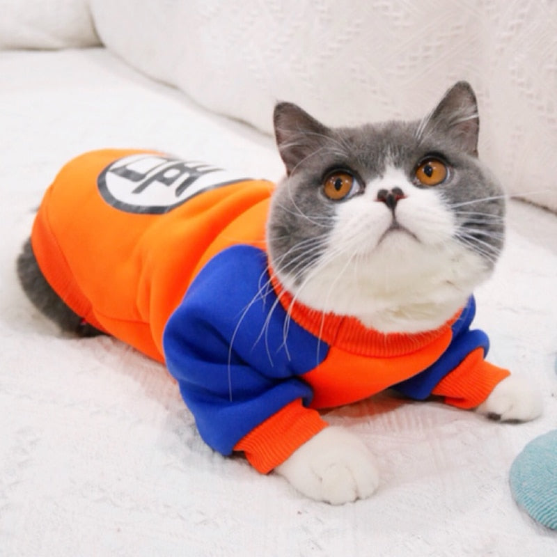 Sweatshirt for Cats