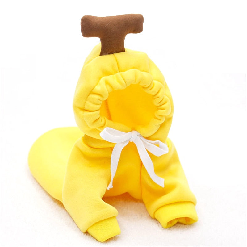 Cute Fruit Dog Clothes for Small Dogs