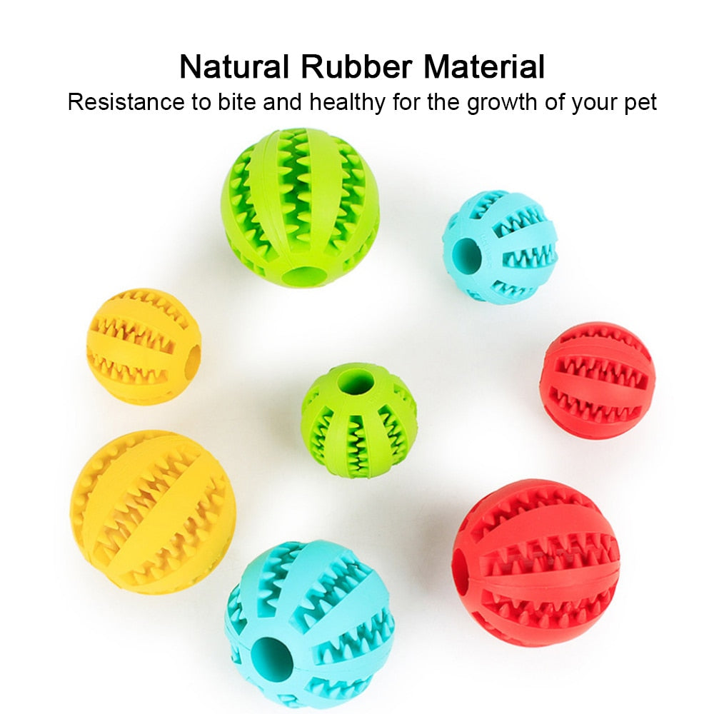 Dog Treat Toy for All Breeds