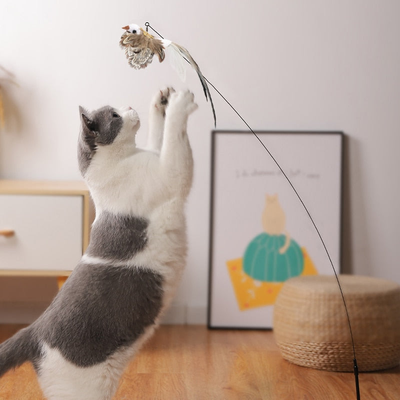 Bird interactive Cat Toy Funny Feather Bird with Bell Cat Stick