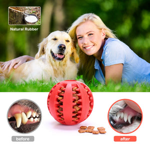 Dog Treat Toy for All Breeds