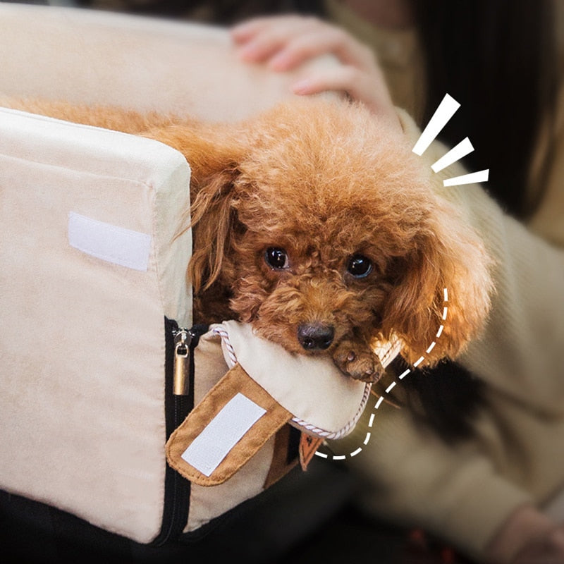 dog bed for travel