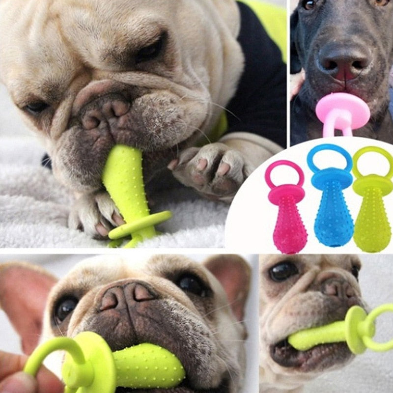 Small Dog Toys