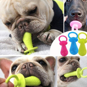 Small Dog Toys