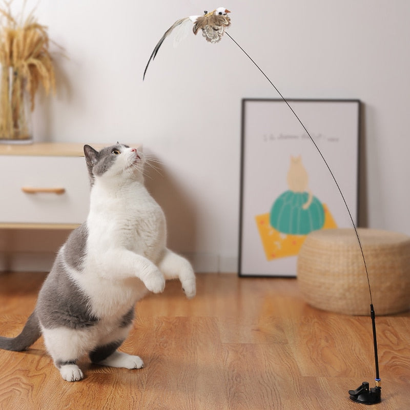 Bird interactive Cat Toy Funny Feather Bird with Bell Cat Stick