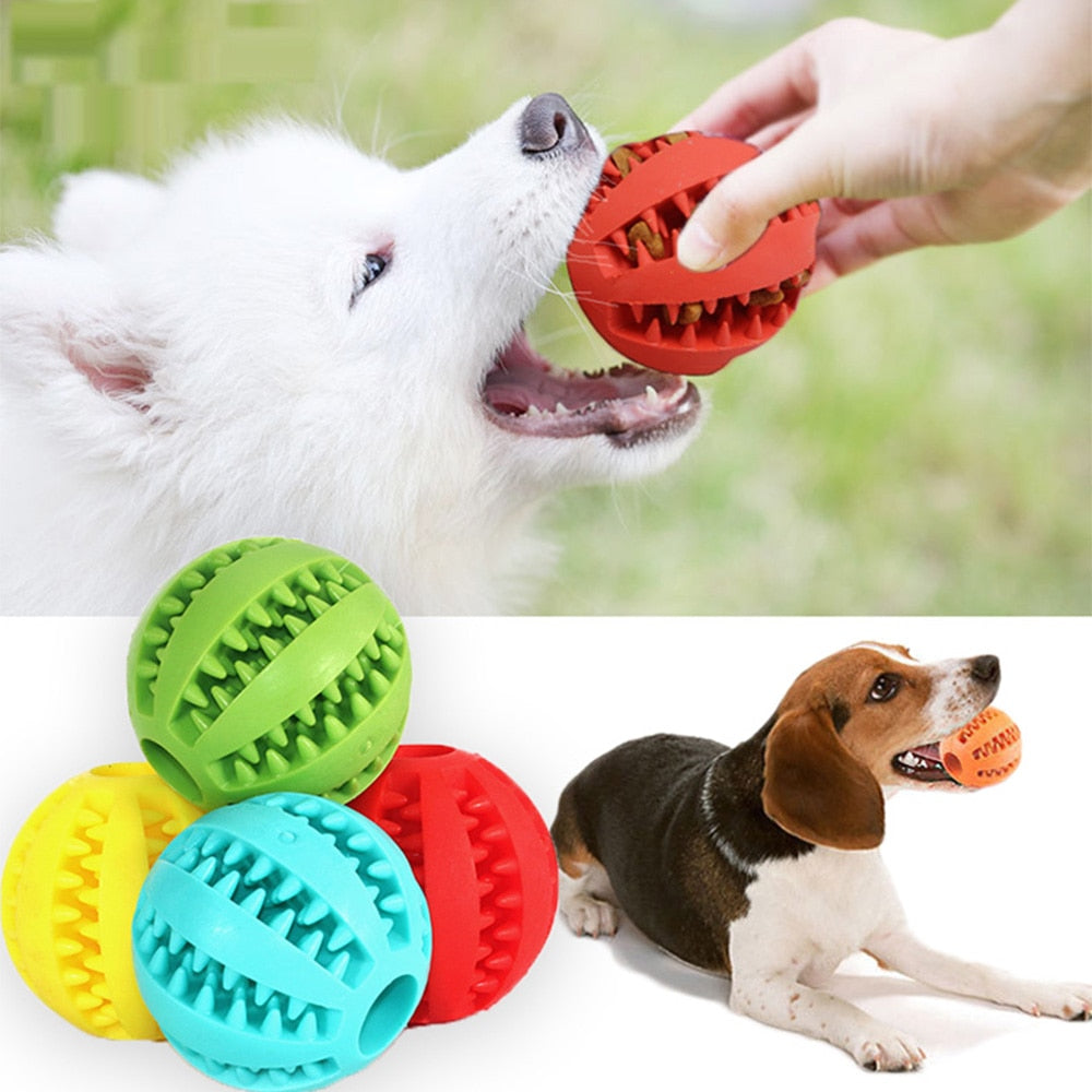 Dog Treat Toy for All Breeds