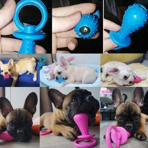 Small Dog Toys